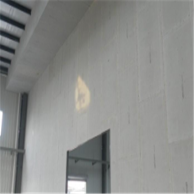 铁岭宁波ALC板|EPS加气板隔墙与混凝土整浇联接的实验研讨